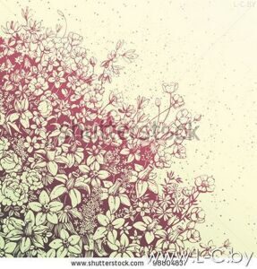 shutterstock_98804837-1