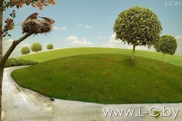 shutterstock_61917028