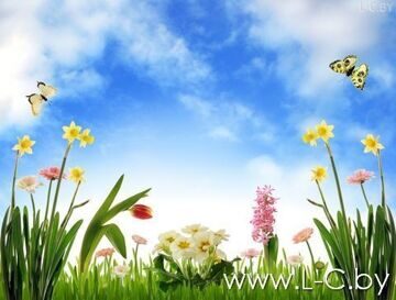 shutterstock_10729543