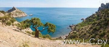 shutterstock_49594087